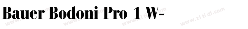 Bauer Bodoni Pro 1 W字体转换